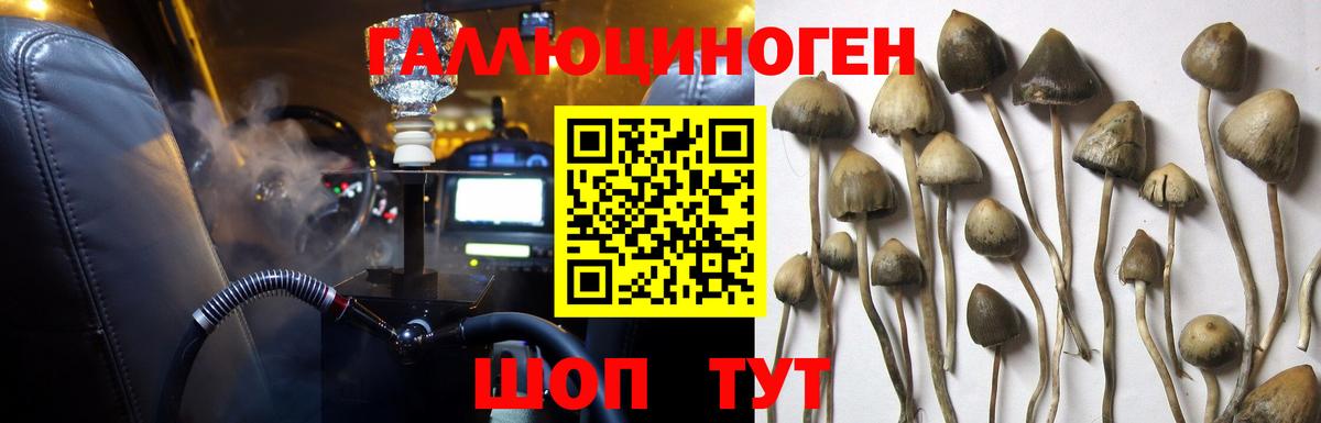 Псилоцибиновые грибы GOLDEN TEACHER Балабаново